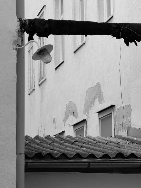 Monatsbild